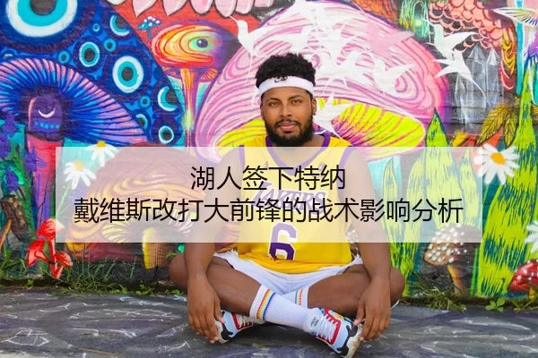 湖人签下特纳 戴维斯改打大前锋的战术影响分析